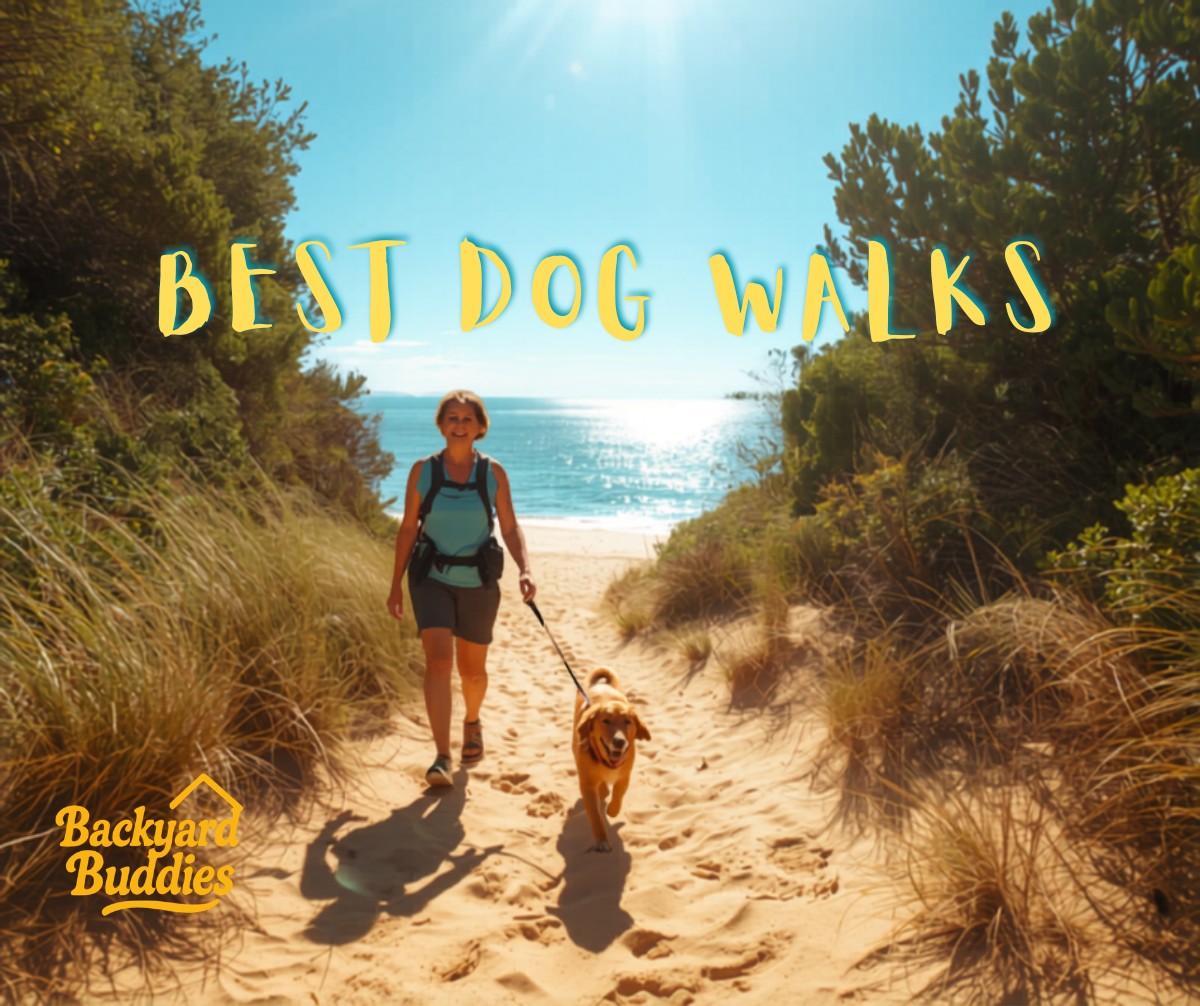 The Best Dog Walks in Rodney & Northland: From Mangawhai to Puhoi