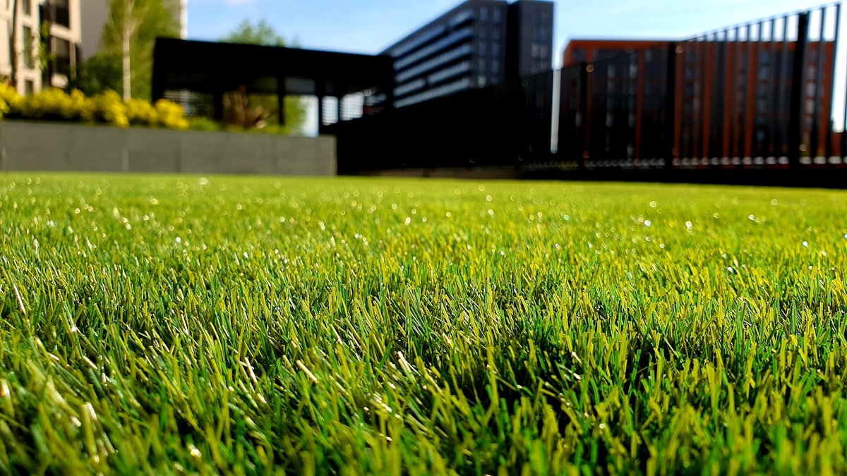 Close-up of a pristine, freshly maintained green lawn at a modern coastal property